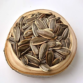 Jumbo Dakota Çekirdeği 500 gr