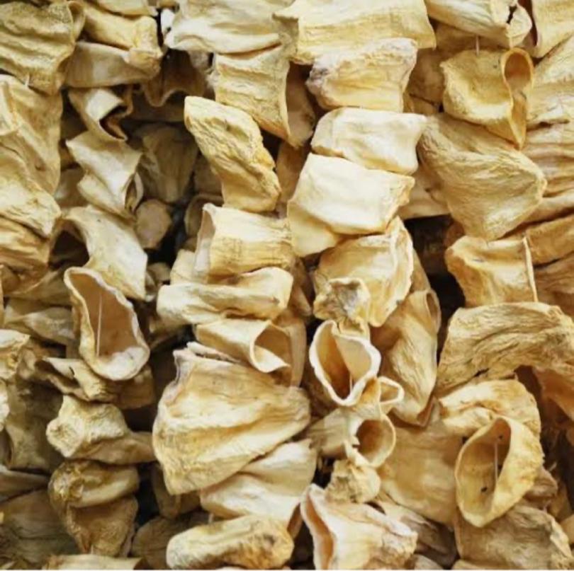 Dolmalık Kabak 1 Dizim