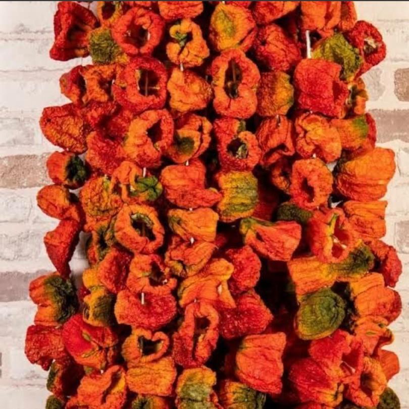 Dolmalık Tatlı Biber 1 Dizim